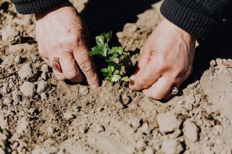 Energie besparen in je tuin