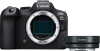 Canon EOS R6 Mark II + EF-EOS R Adapter bestellen?