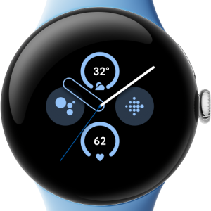 Google Pixel Watch 2 Zilver/Blauw bestellen?