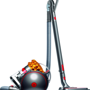 Dyson Cinetic Big ball Multi floor 2 bestellen?