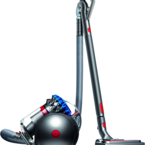 Dyson Big Ball Absolute 2 bestellen?