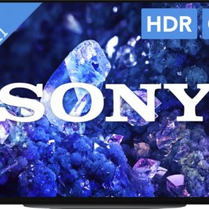 Sony Bravia OLED XR-42A90K bestellen?