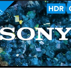 Sony Bravia OLED XR-65A80L bestellen?